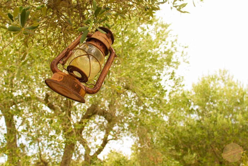Villa Borgo Degli Artisti à Ostuni Extérieur photo